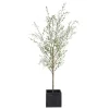Mor Furniture Plants|Abundance Olive Tree Plant