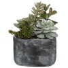 Mor Furniture Plants|Alverio Succulents