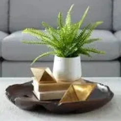 Mor Furniture Plants|Boston Fern Plant