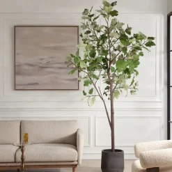 Mor Furniture Plants|Eden Fig Tree Plant