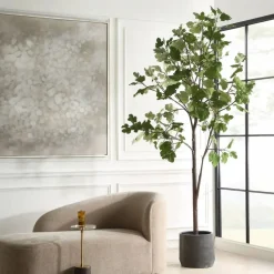 Mor Furniture Plants|Eden Fig Tree Plant