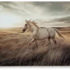Mor Furniture Wall Art & Accents|Errolville Horse On Glass Wall Art