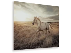 Mor Furniture Wall Art & Accents|Errolville Horse On Glass Wall Art