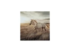 Mor Furniture Wall Art & Accents|Errolville Horse On Glass Wall Art