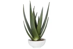 Mor Furniture Plants|Evarado Aloe Planter