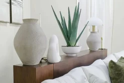 Mor Furniture Plants|Evarado Aloe Planter