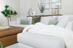 Mor Furniture Plants|Evarado Aloe Planter