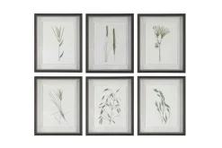 Mor Furniture Wall Art & Accents|Forest Finds Wall Art, Set Of 6