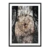 Mor Furniture Wall Art & Accents|Freyburn Wall Art