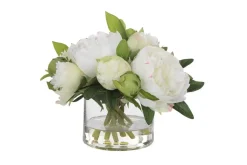 Mor Furniture Plants|Garden Peony Plant