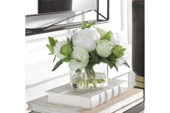 Mor Furniture Plants|Garden Peony Plant