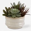 Mor Furniture Plants|Mesa Succulent
