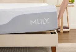 Mor Furniture Mattress Protectors|Mlily Waterproof Mattress Protector, Twin