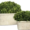 Mor Furniture Sculptures|Oval Domes Preserved Boxwood, Set Of 2