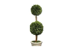 Mor Furniture Sculptures|Oval Domes Preserved Boxwood, Set Of 2