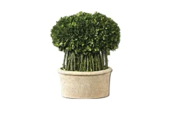 Mor Furniture Sculptures|Oval Domes Preserved Boxwood, Set Of 2