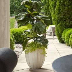Mor Furniture Vases|Ridgehaven Planter Vase In Natural