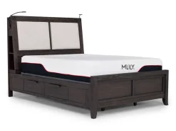 Mor Furniture Beds|Riley Bookcase Bed In Carbonite, Ca King