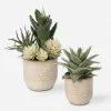 Mor Furniture Plants|Seaside Succulents, Set Of 2