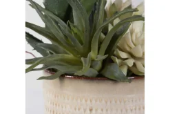 Mor Furniture Plants|Seaside Succulents, Set Of 2