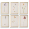 Mor Furniture Wall Art & Accents|Wild Flourish Wall Art, Set Of 6
